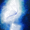銀色の蝶2